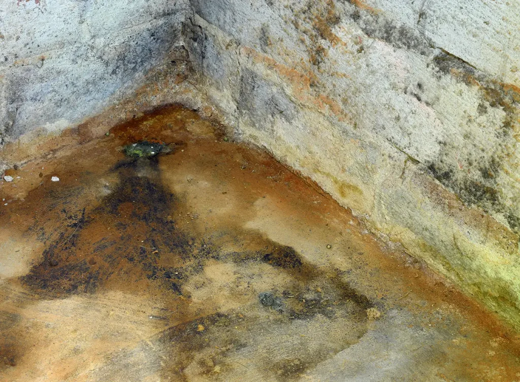 visible stained basement wall from water damage springfield illinois